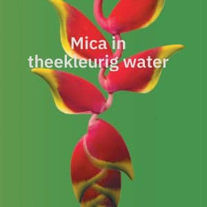 Cover 'Mica in theekleurig water' - Germaine Jong Loy