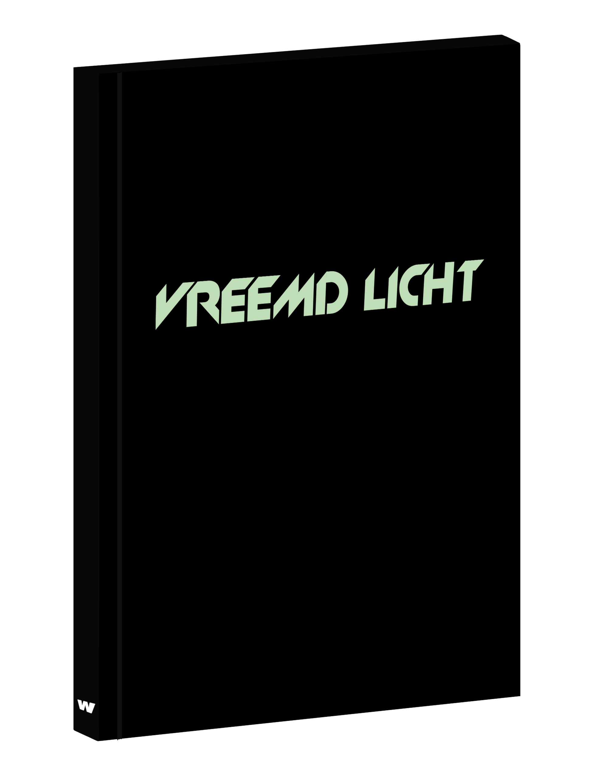 Vreemd licht - Aike Rijntjes